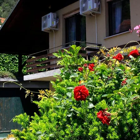 Na Kopitarjevi 3* Laško