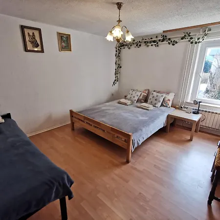 Gasthuis Na Kopitarjevi Laško