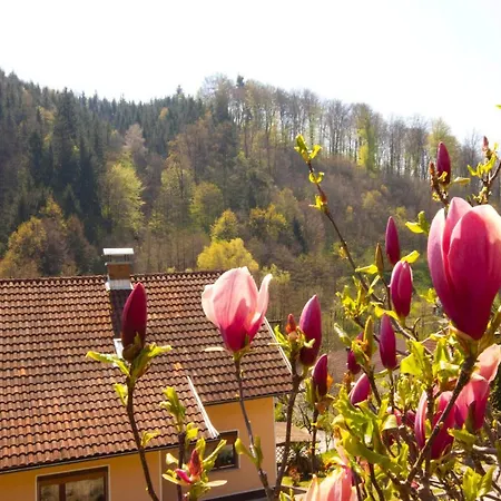 Gostinjska kuća Na Kopitarjevi