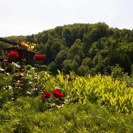 Na Kopitarjevi Gostinjska kuća