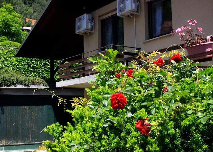 Na Kopitarjevi 3* Laško