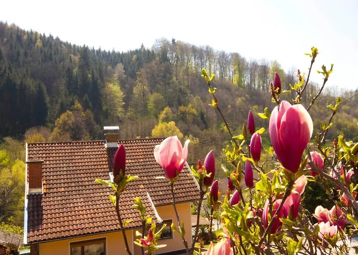 Πανσιόν Na Kopitarjevi