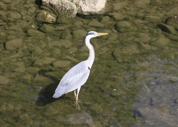 Na Kopitarjevi 3* Laško