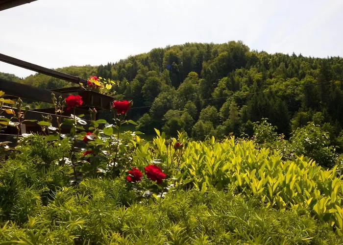 Na Kopitarjevi Πανσιόν