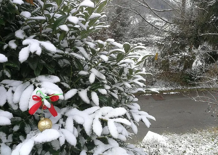 Πανσιόν Na Kopitarjevi